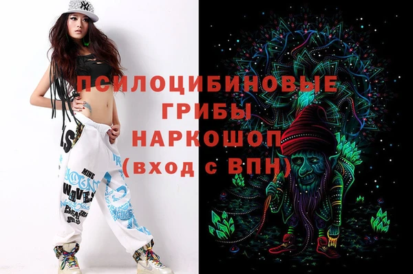МДПВ Краснотурьинск