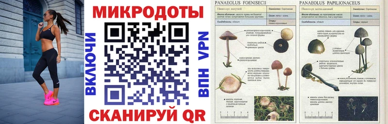 Галлюциногенные грибы мухоморы  KRAKEN зеркало  Яровое 